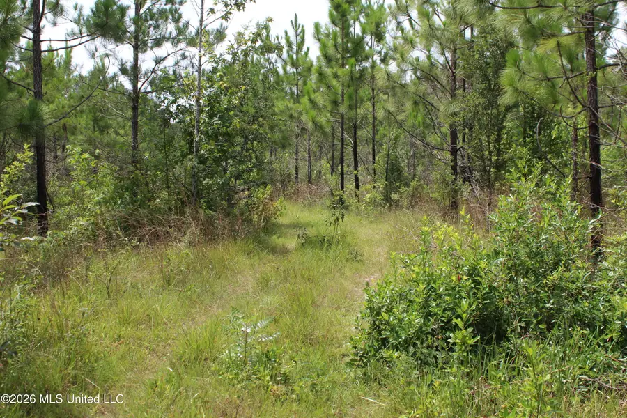 Agricola Latonia Road, Lucedale, MS 39452 - #3