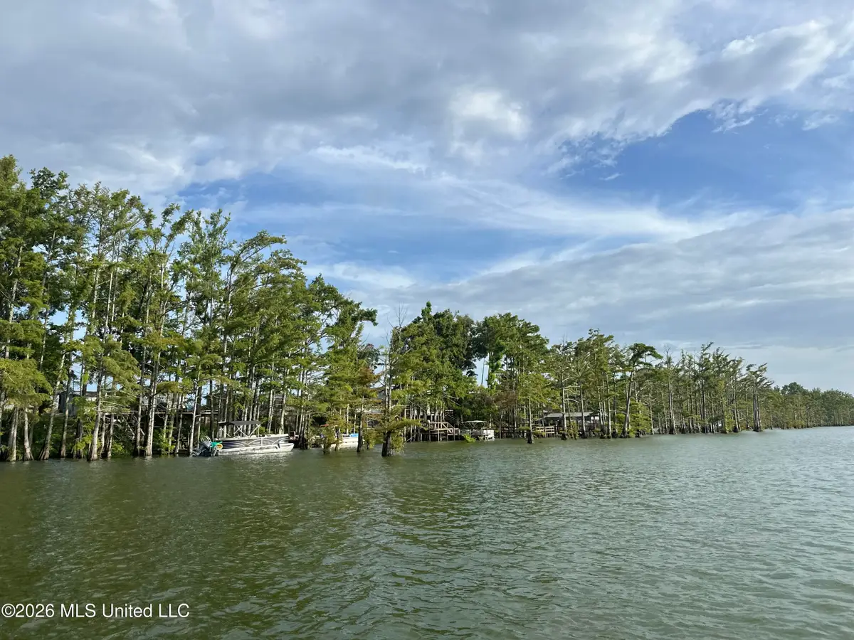 Lot 43 Liberto Lane, Tchula, MS 39169 - #1