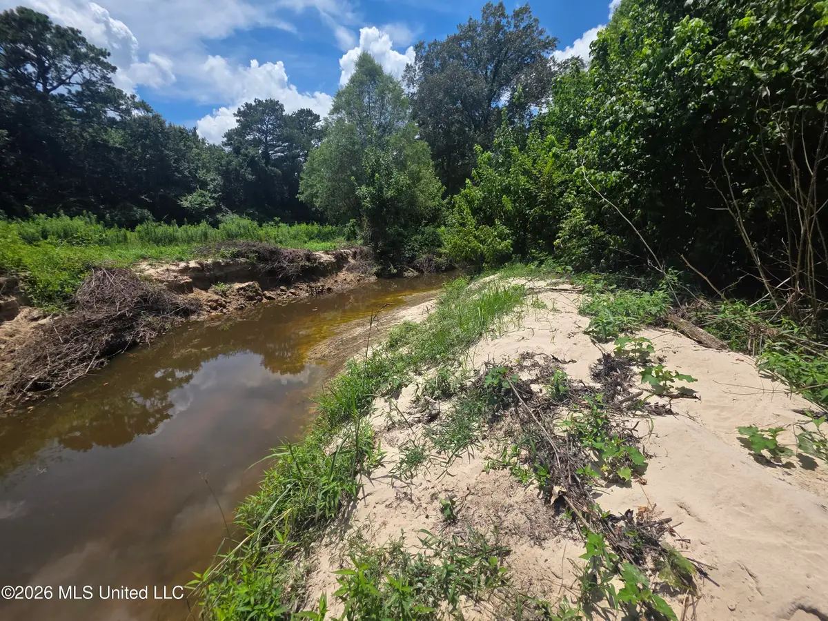 Scrd 538e, Morton, MS 39117 - #1