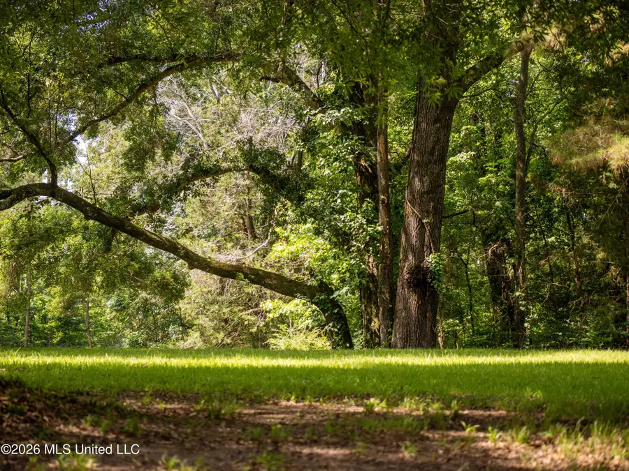 8454 Anding Oil City Road, Bentonia, MS 39040 - #3