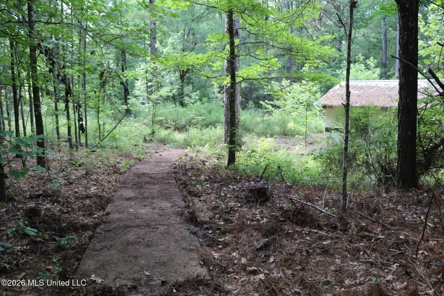 2026 Stump Bridge Road, Camden, MS 39045 - #3