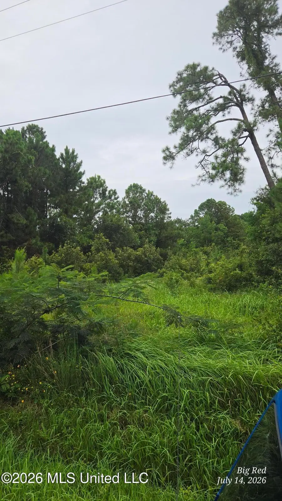 208 Mcclung Street, Pass Christian, MS 39571 - #3