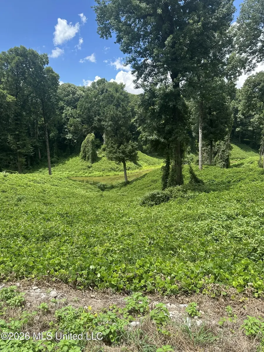 0 Woodland Lake Drive, Hernando, MS 38632 - #2