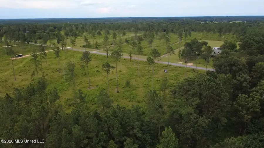 Kirklin Road, Tylertown, MS 39667 - #2