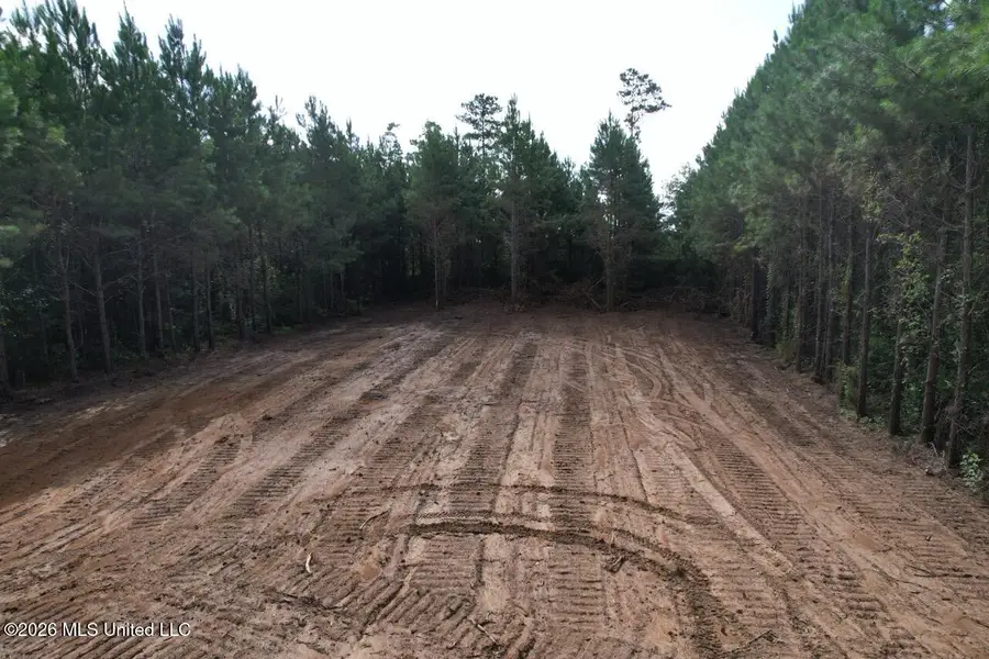 11813 Louisiana 10, Greensburg, LA 70441 - #2