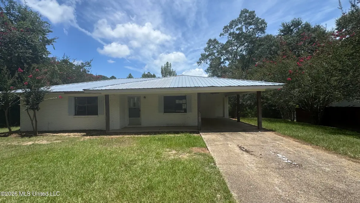 305 Shady Oak Street, Raleigh, MS 39153 - #1