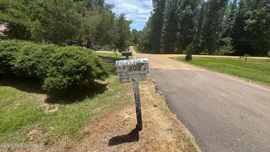305 Shady Oak Street, Raleigh, MS 39153 - #2