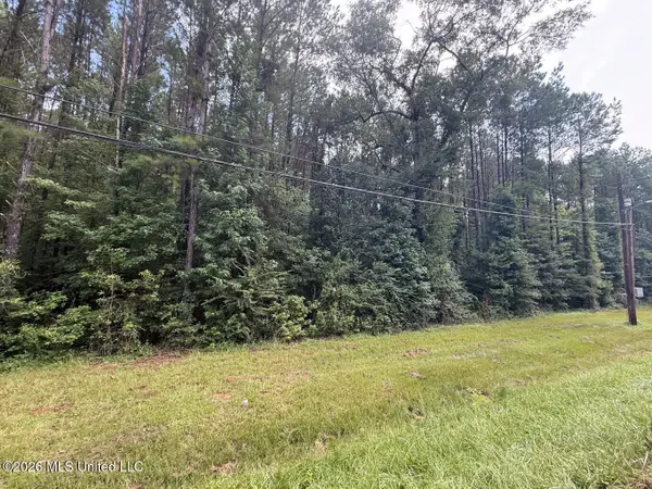 253 Red Dog Road, Carthage, MS 39051