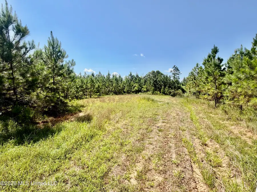 Rounsaville Church Road, Coffeeville, MS 38922 - #3