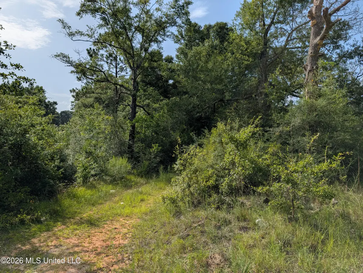 148 Pepper Lane, Lucedale, MS 39452 - #1