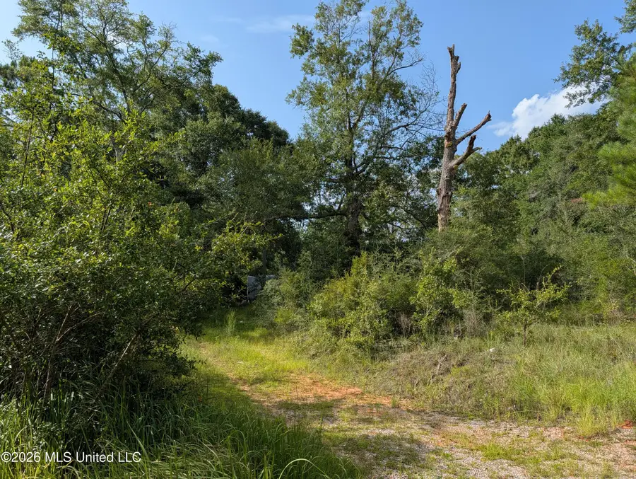 148 Pepper Lane, Lucedale, MS 39452 - #2