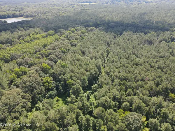 Vaughan Road, Vaughan, MS 39179