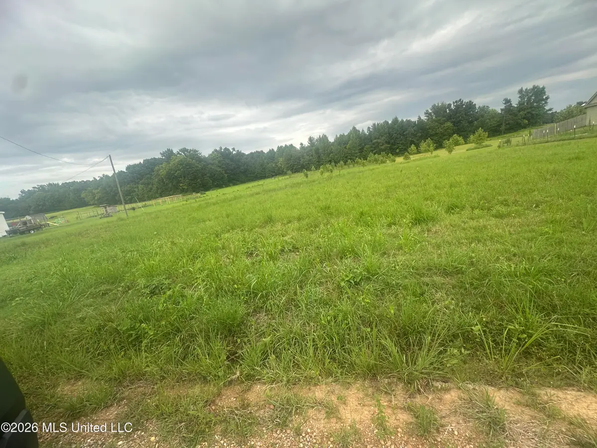 78 Boone Road, Holly Springs, MS 38635 - #1