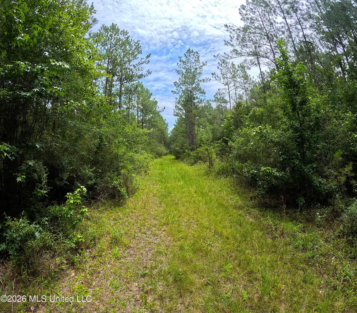 N Sones Chapel Road, Carriere, MS 39426 - #1
