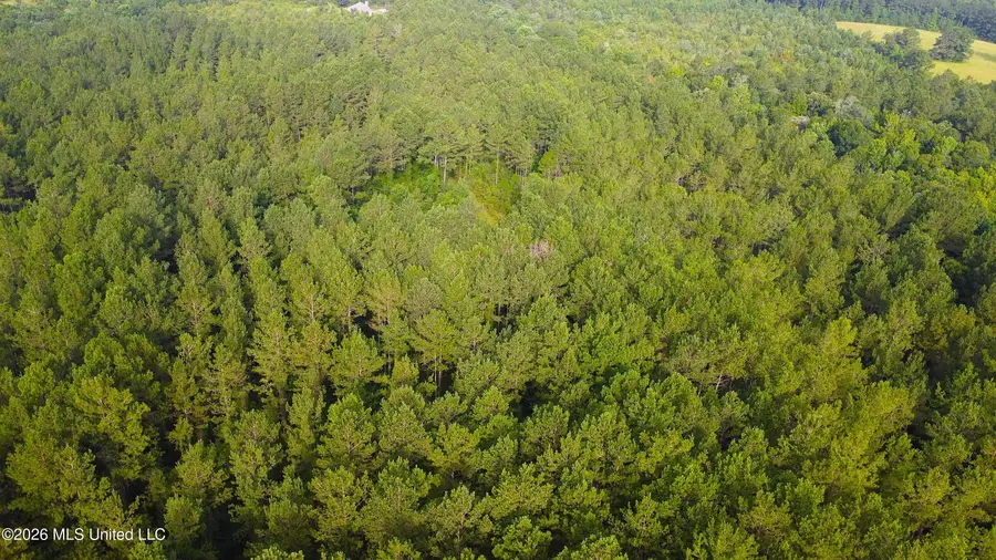N Sones Chapel Road, Carriere, MS 39426 - #2