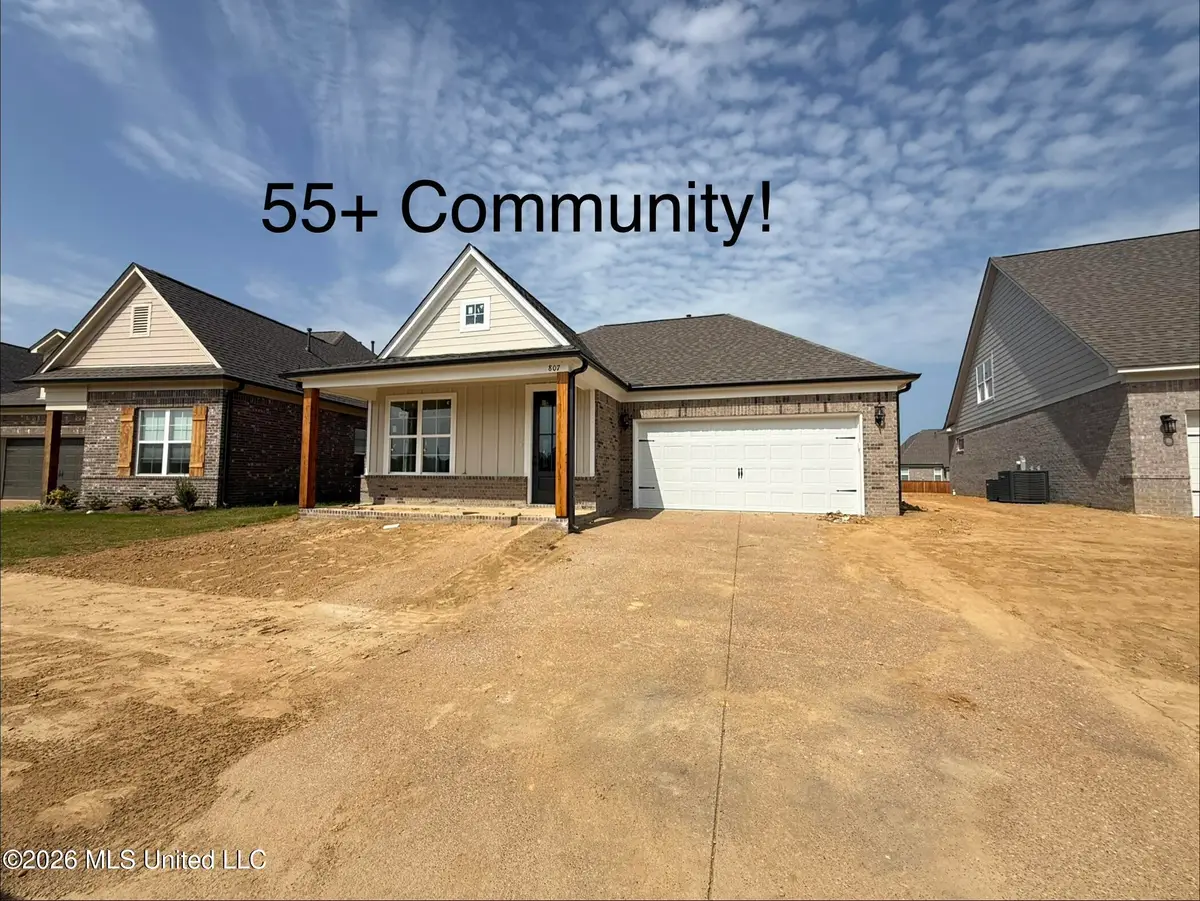 807 Quitman Court, Nesbit, MS 38651 - #1