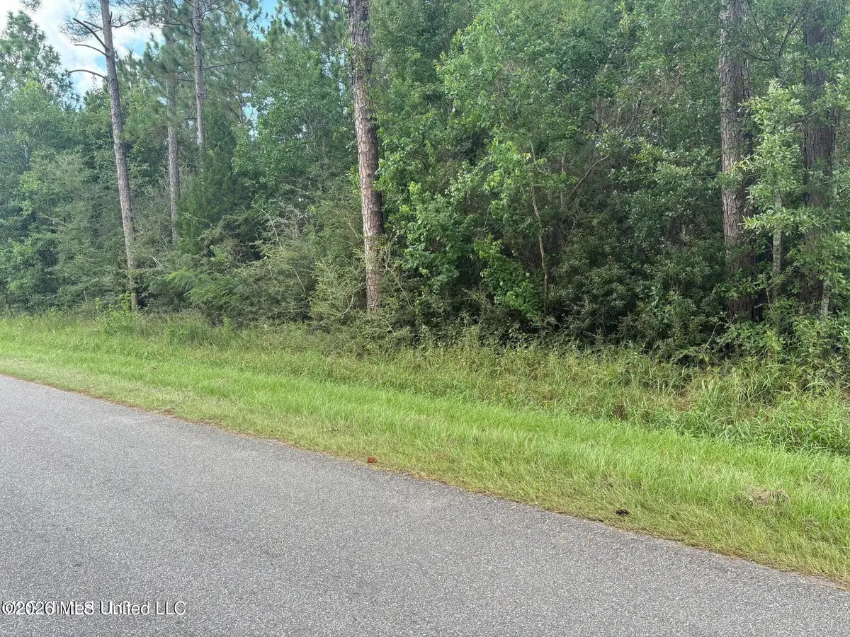 E Pike Street, Bay Saint Louis, MS 39520 - #1