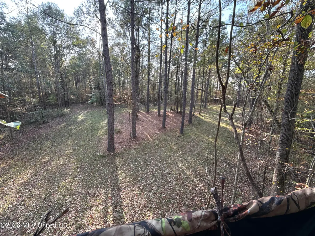 23 Pheasant Road, Roxie, MS 39661 - #1