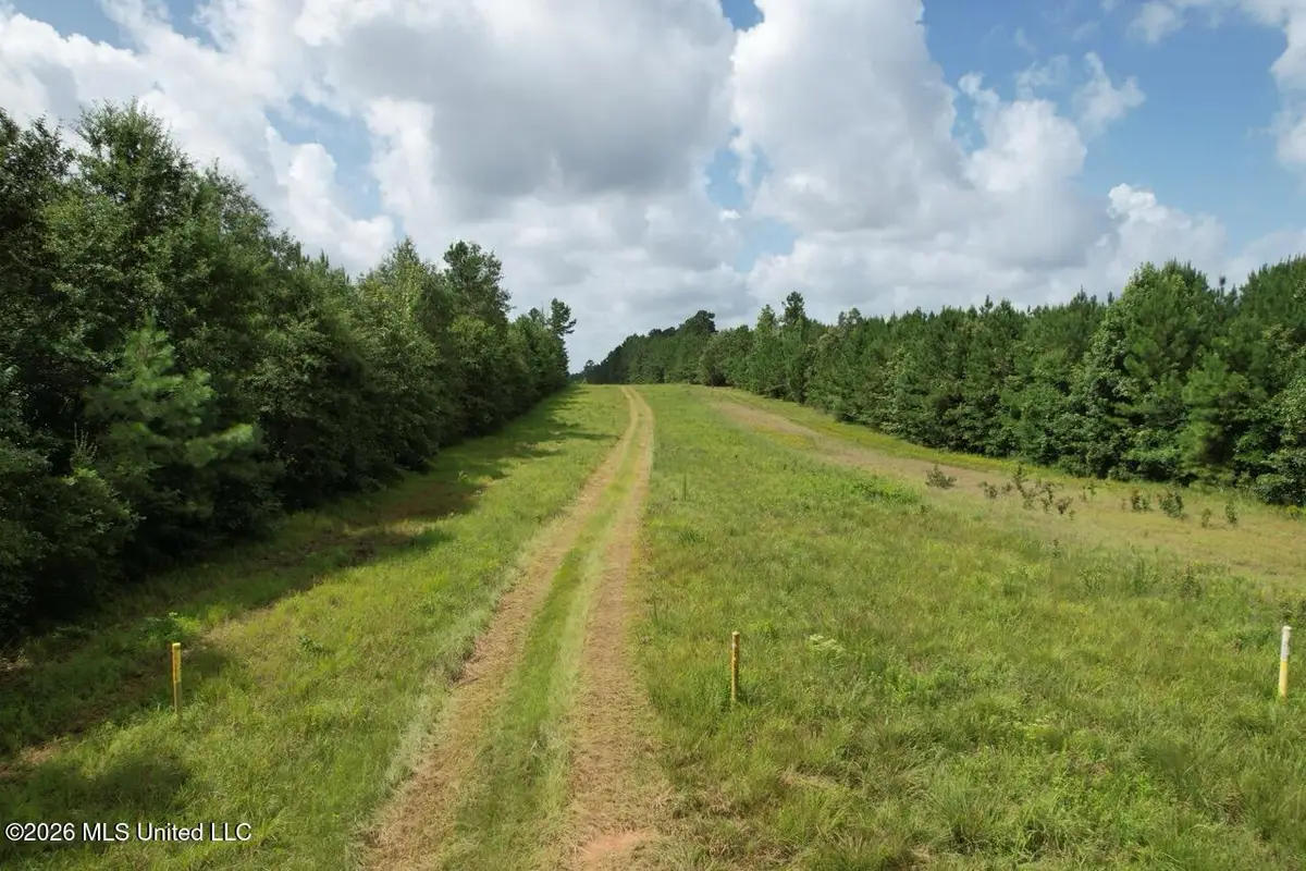 11837 Louisiana 10, Greensburg, LA 70441 - #1