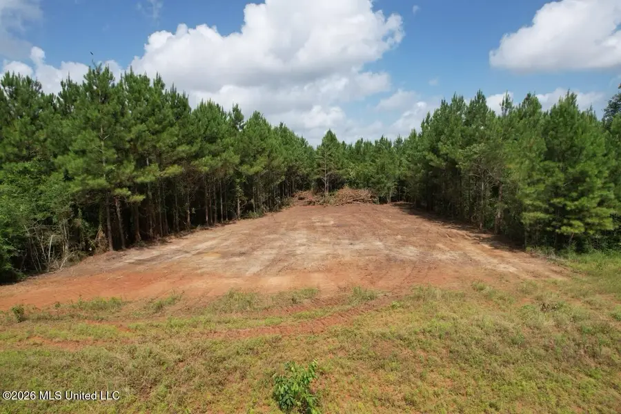 11837 Louisiana 10, Greensburg, LA 70441 - #2