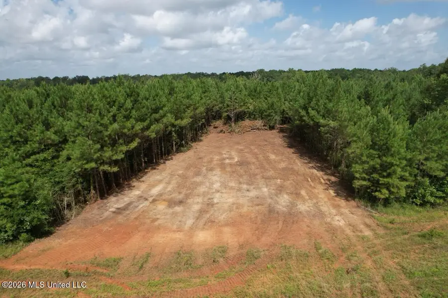 11837 Louisiana 10, Greensburg, LA 70441 - #3