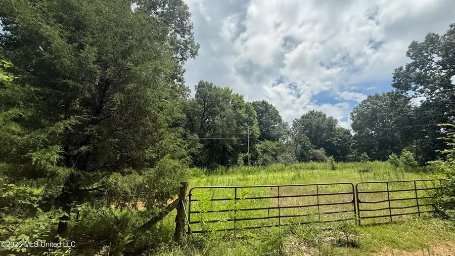 Matthews Drive, Byhalia, MS 38611 - #2