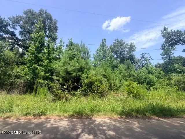 Johns Bayou Marina Rd Road, Vancleave, MS 39565 - #1