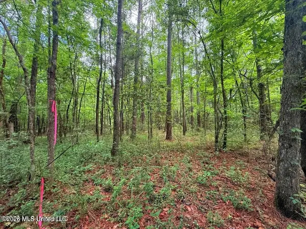 Us 98 Highway, Smithdale, MS 39664