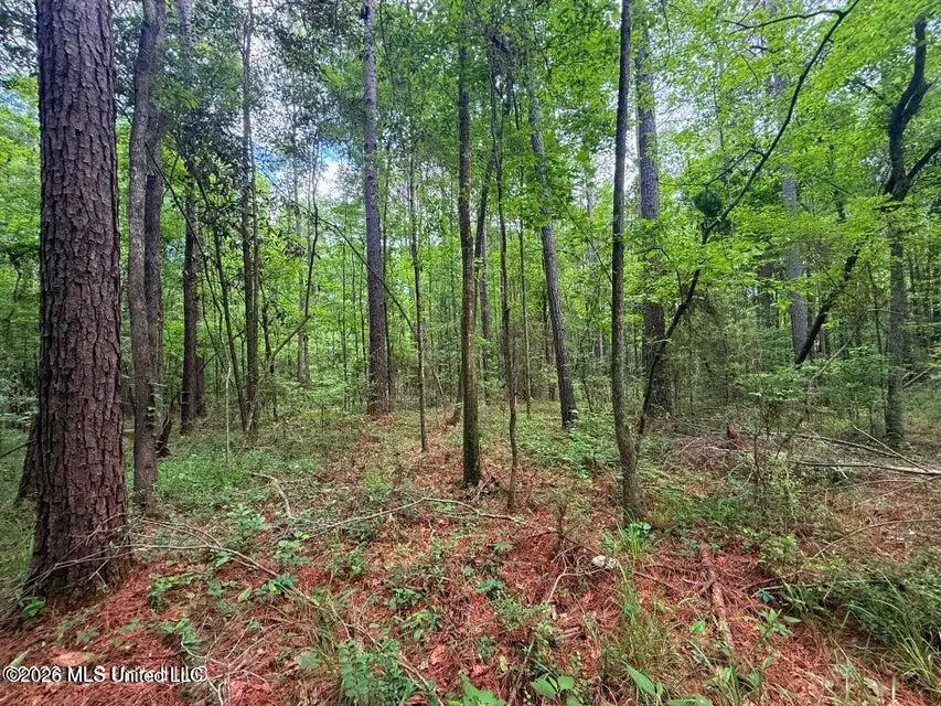 Us 98 Highway, Smithdale, MS 39664 - #2