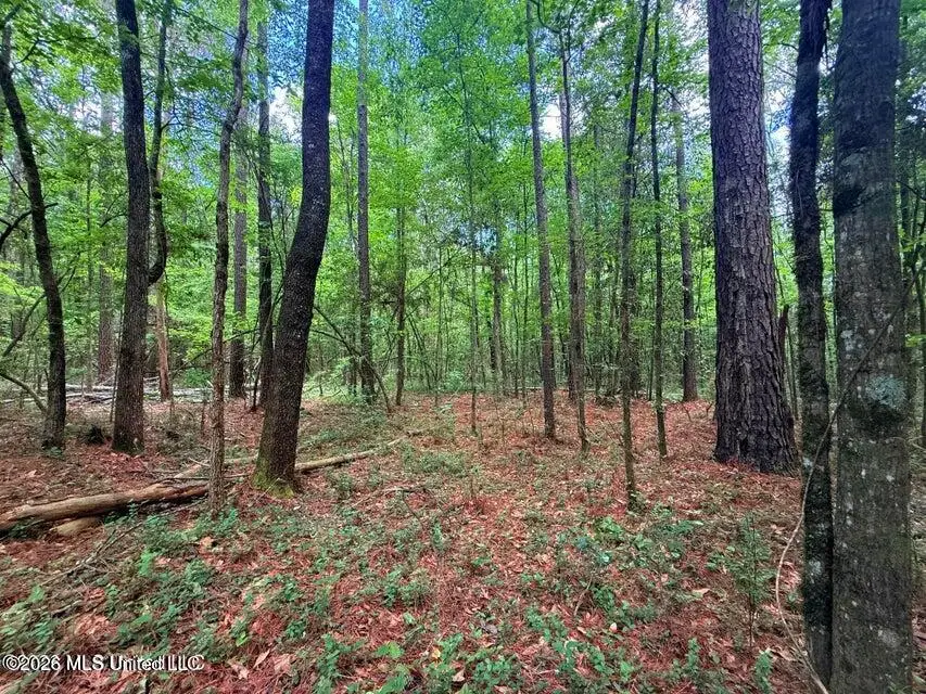 Us 98 Highway, Smithdale, MS 39664 - #3