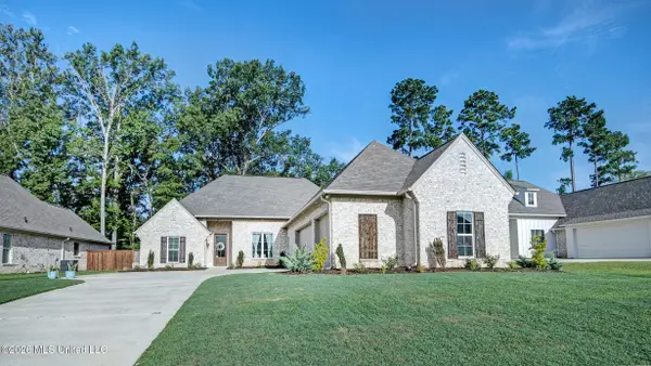 689 Bearing Way, Brandon, MS 39047