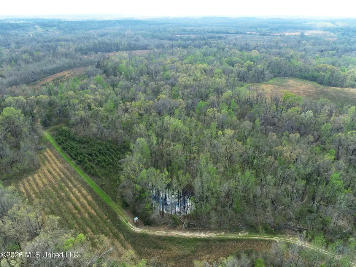 Chinqupin Road, Lexington, MS 39095 - #1