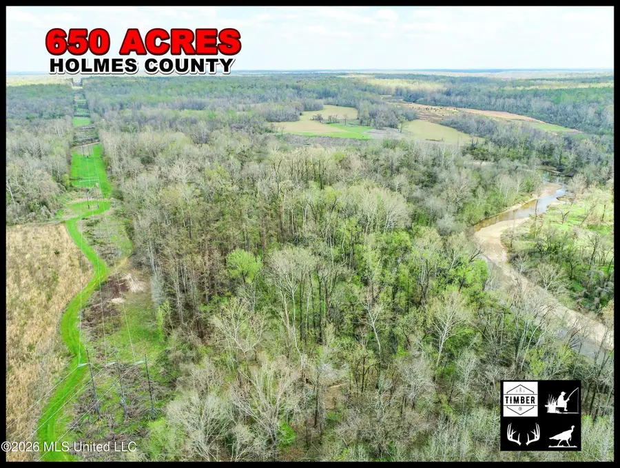 Chinqupin Road, Lexington, MS 39095 - #2