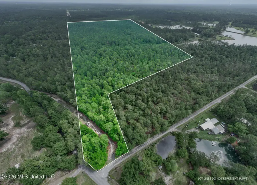 68 Acres Blue Wood Drive, Vancleave, MS 39565 - #2