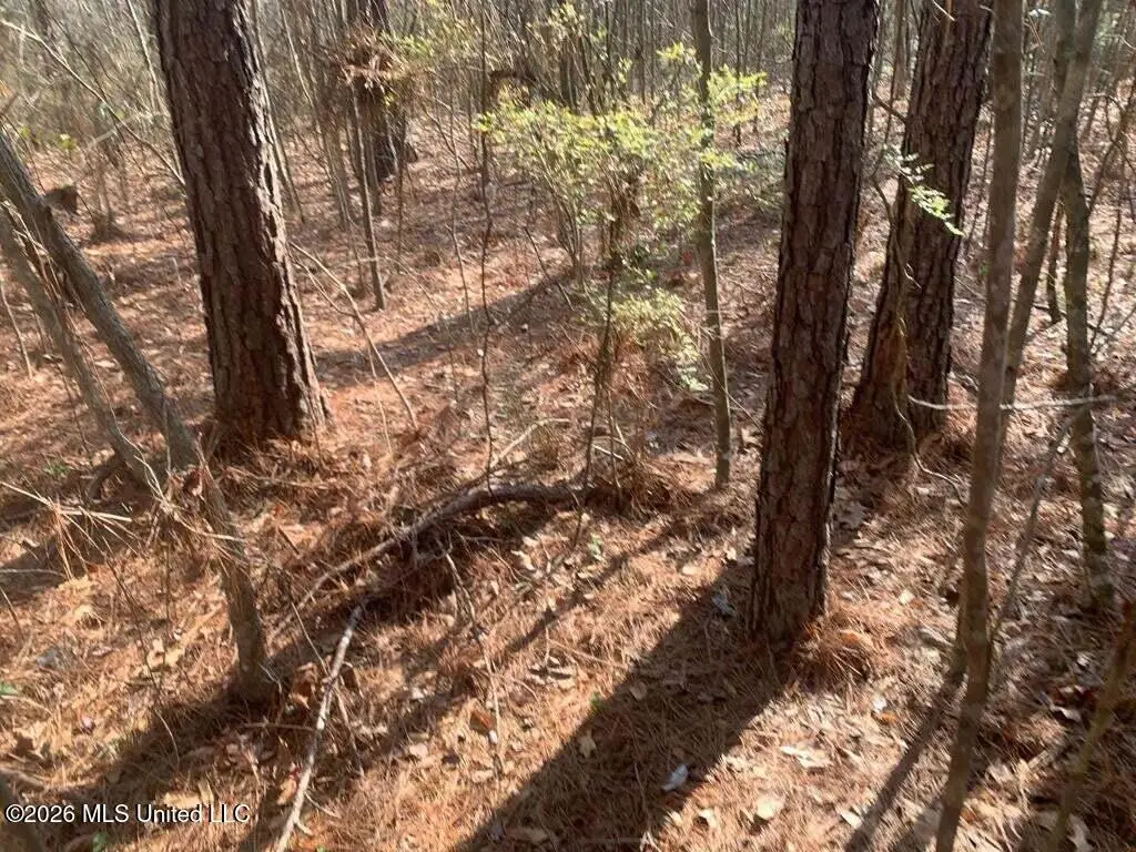 00 Pine Grove Lane, Wesson, MS 39191 - #1