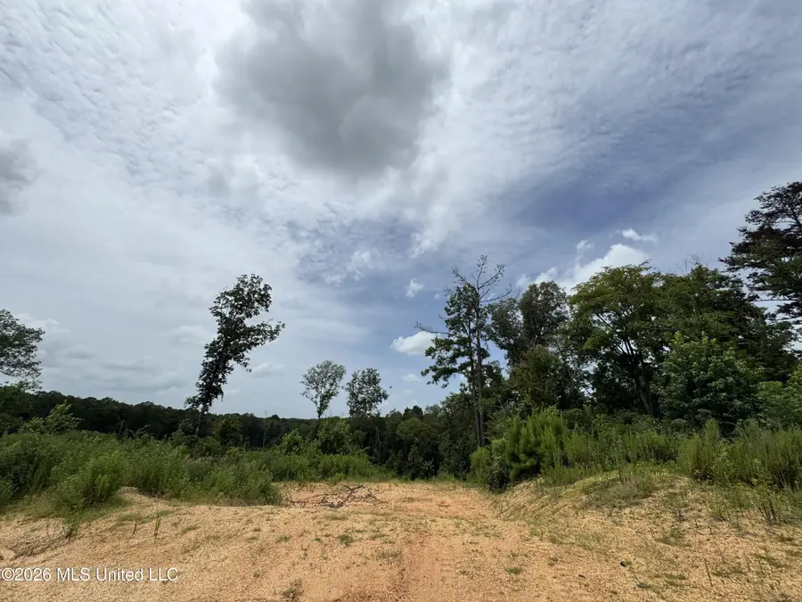 W Gallatin Street, Hazlehurst, MS 39083 - #3