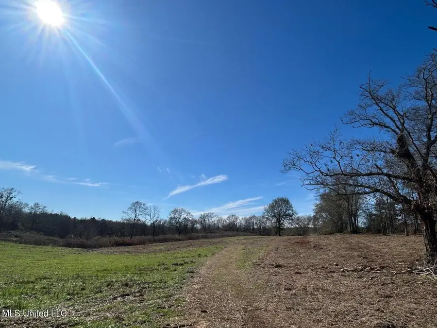 00 Biltmore Road, McComb, MS 39648 - #2