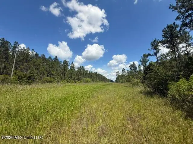Elmer Hamilton Road Road, Moss Point, MS 39562 - #2