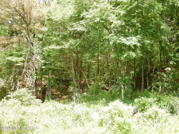 3 Looxahoma-tyro Road, Senatobia, MS 38668