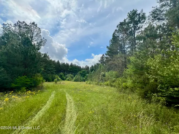 NE Highway 44, Summit, MS 39666