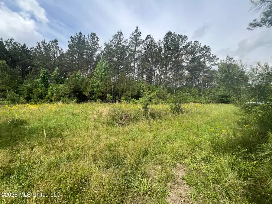 NE Highway 44, Summit, MS 39666 - #2