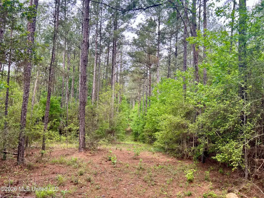 NE Highway 44, Summit, MS 39666 - #3
