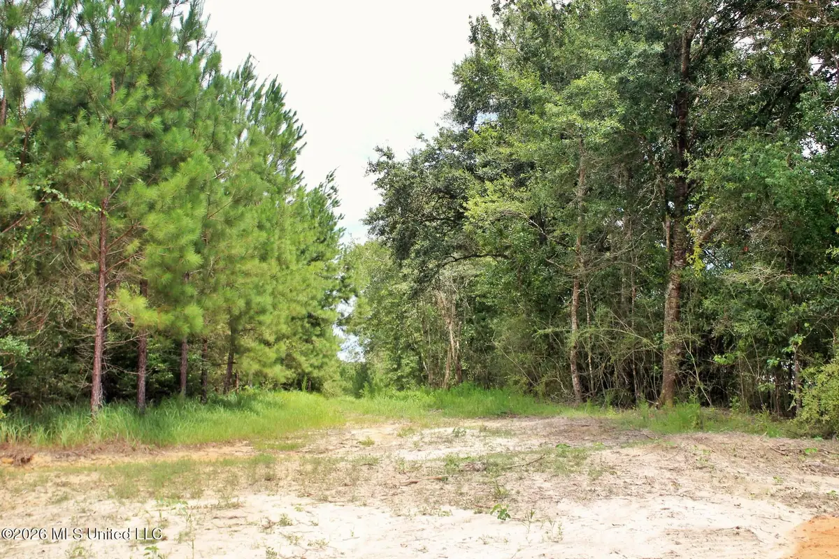 66+/-ac Little Cedar Road, Lucedale, MS 39452 - #1