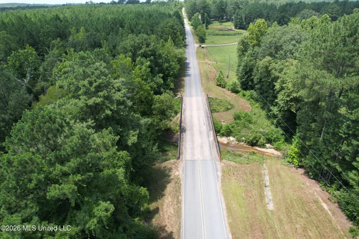 1 Dummyline Road Ne, McCall Creek, MS 39647 - #1