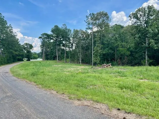 0 Bridges Quin Circle, Summit, MS 39666 - #1