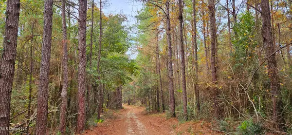 Nhn Firefox, Poplarville, MS 39470