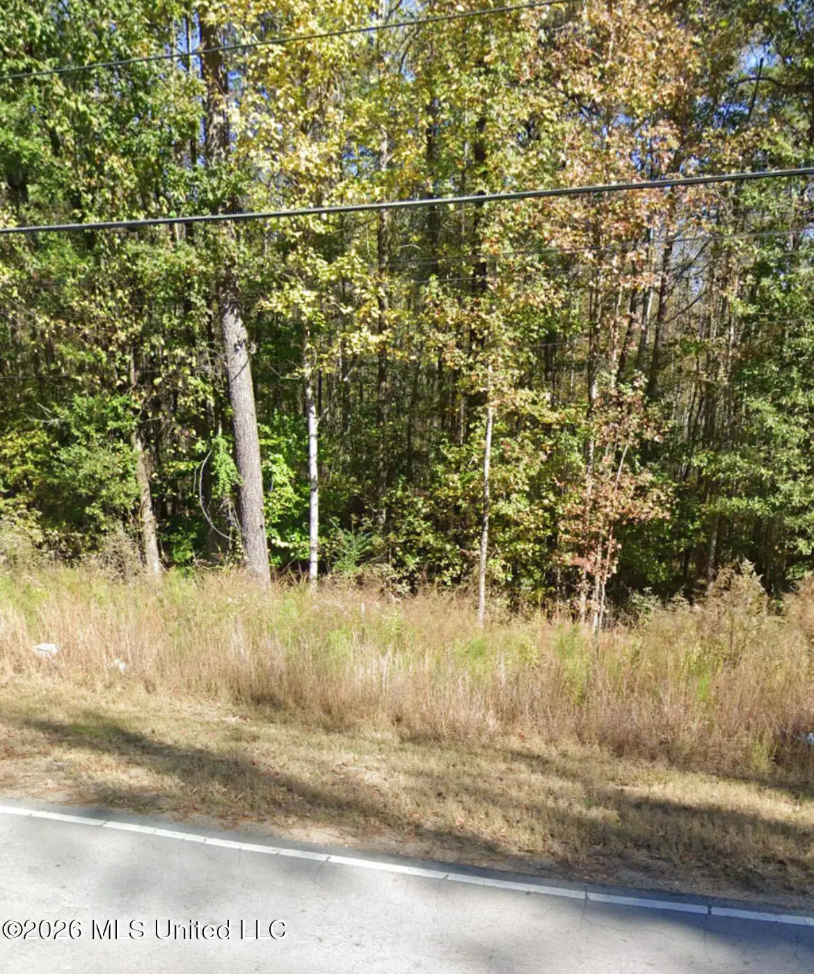 100 Co Rd 102, Oxford, MS 38655 - #1