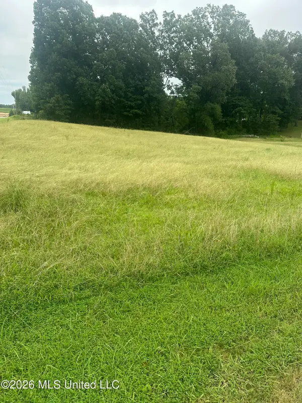 Landen Circle, Byhalia, MS 38611