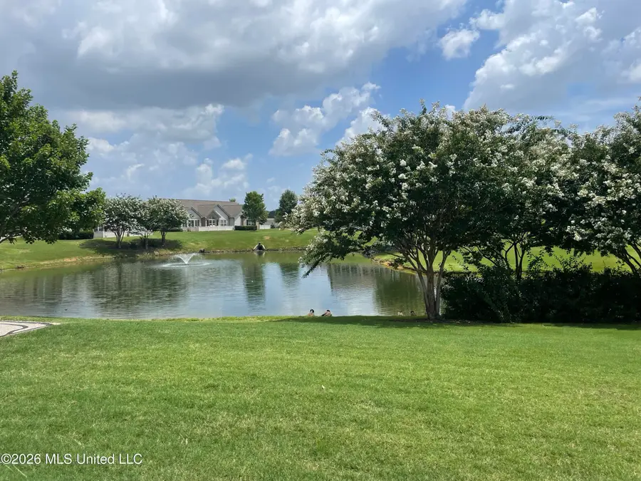 8673 Parkview Oaks Circle, Olive Branch, MS 38654 - #2