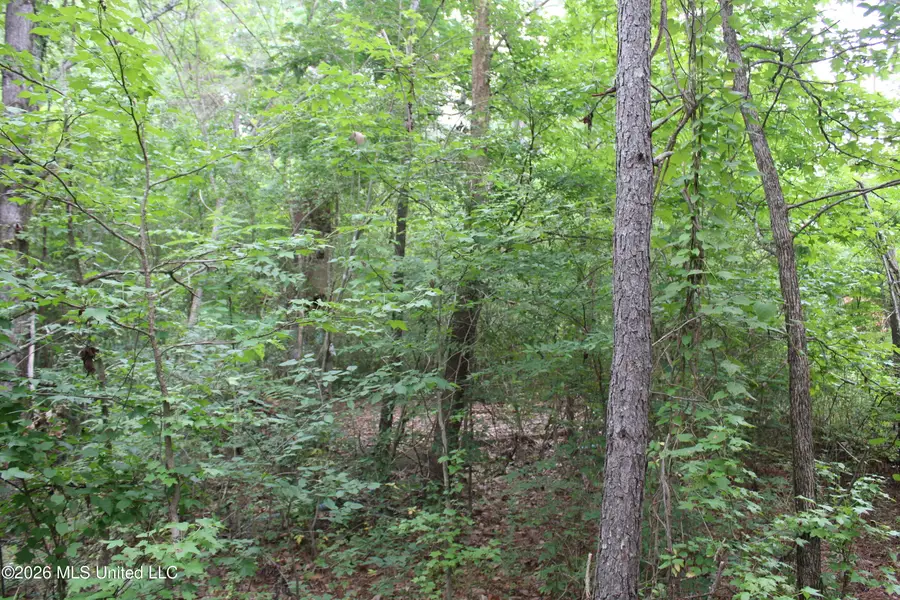 620 Humphrey Road, Holly Springs, MS 38635 - #3